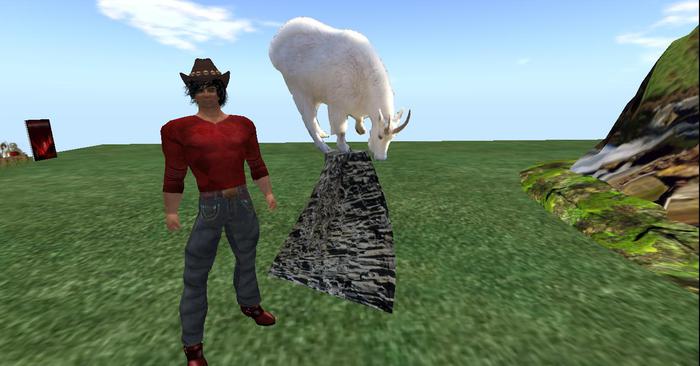 Mountain Billy Goat # 660