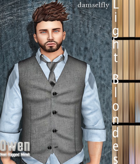 *~*Damselfly*~*Owen Non-Rigged Mesh Light Blondes