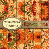 *Wallflowers* Harvest Home