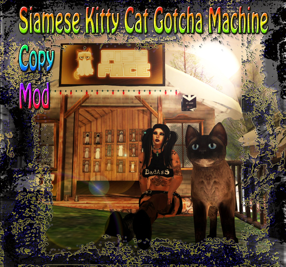 S&B Kittycat Gotcha (M)