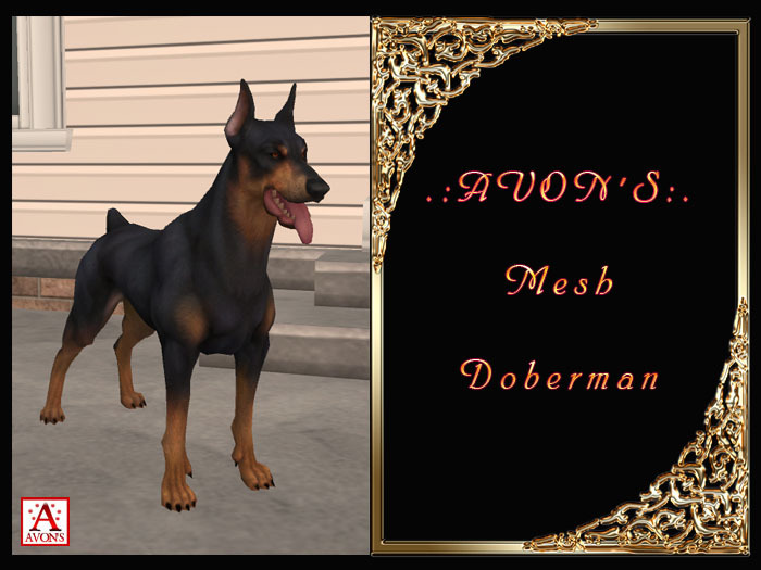 .:AVON'S:. Doberman Mesh