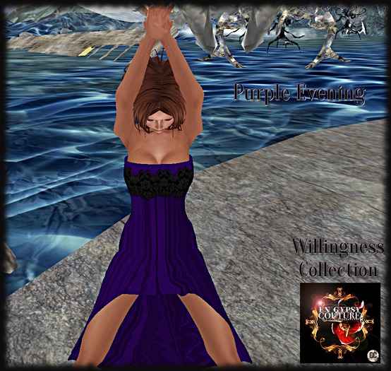BOHEMIAN GYPSY  -  BOHO CUSTOMS   (marketplace)