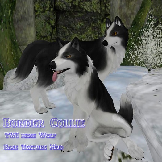 TWI Wolf BorderCollie MOD