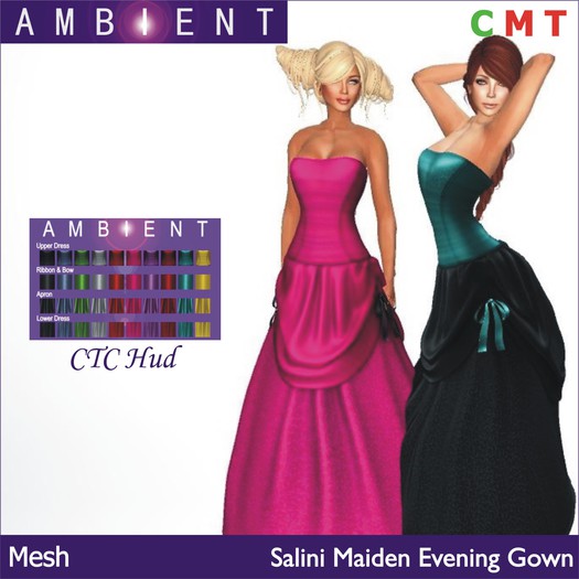 [AMBI] Mesh Salini Fay Evening Gown (BOXED)