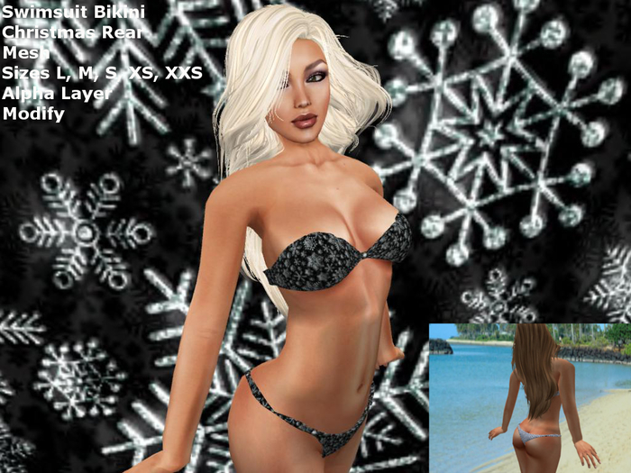 Christmas Rear