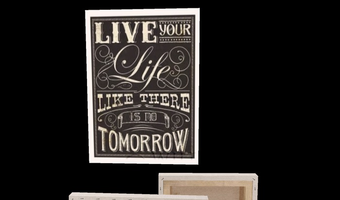 .::.Anta's.::. Canvas "life" (Box)