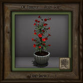 Simple Elegance Pine Mission Planter F