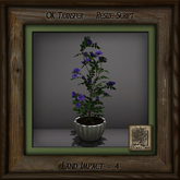 Simple Elegance Pine Mission Planter F