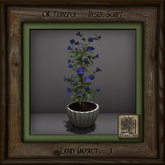 Simple Elegance Pine Mission Planter F