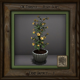 Simple Elegance Pine Mission Planter F