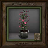 Simple Elegance Pine Mission Planter F