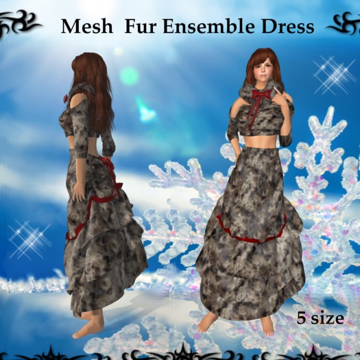 A-41 Fur Ensemble Dress Box