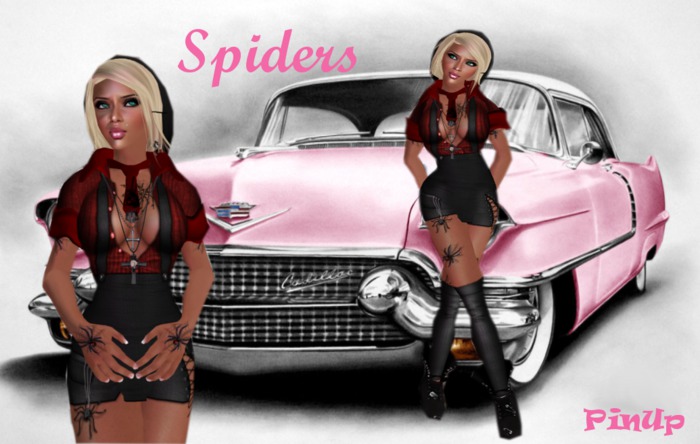 PinUP Spider