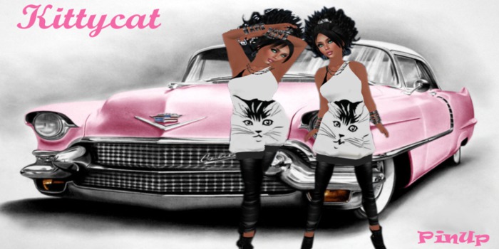 Demo version Kittycat