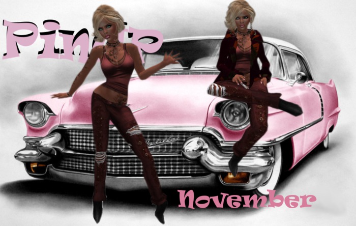 PinUp November