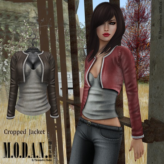 ::M.O.D.A.N.M.E.S.H.:: Cropped Leather Jacket Brown