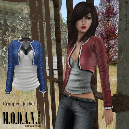 ::M.O.D.A.N.M.E.S.H.::  Cropped Leather Jacket  Blue