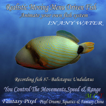 Second Life Marketplace - Realistic Moving Menu Driven Fish YOU CONTROL ...