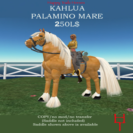 Kahlua Palomino Mare MP Packaged