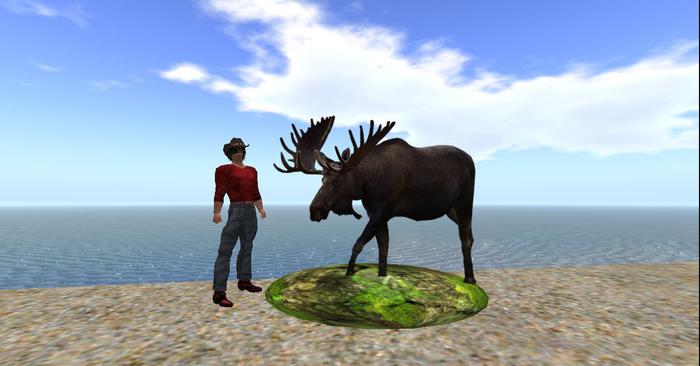 Moose Bull particle rez on base - one prim Copy