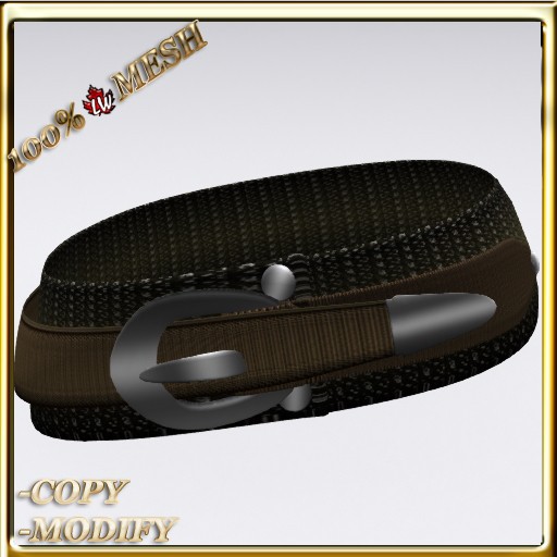 LW_ Large Belt 