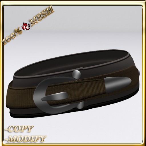 LW_ Large Belt 1