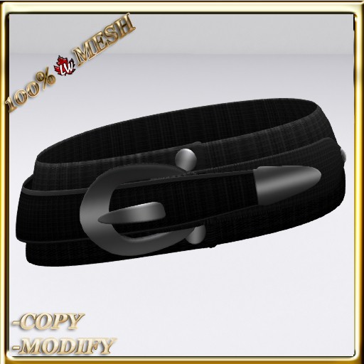 LW_ Large Belt 1