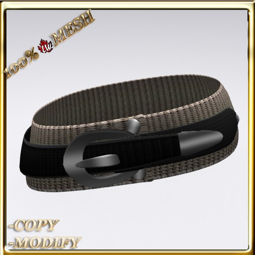 LW_ Large Belt 9