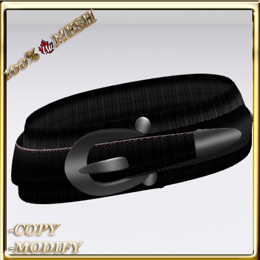 LW_ Large Belt 1