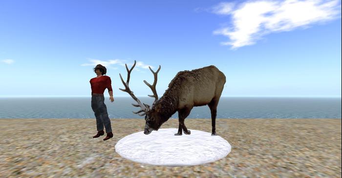 Elk in Snow  particle rez - one prim