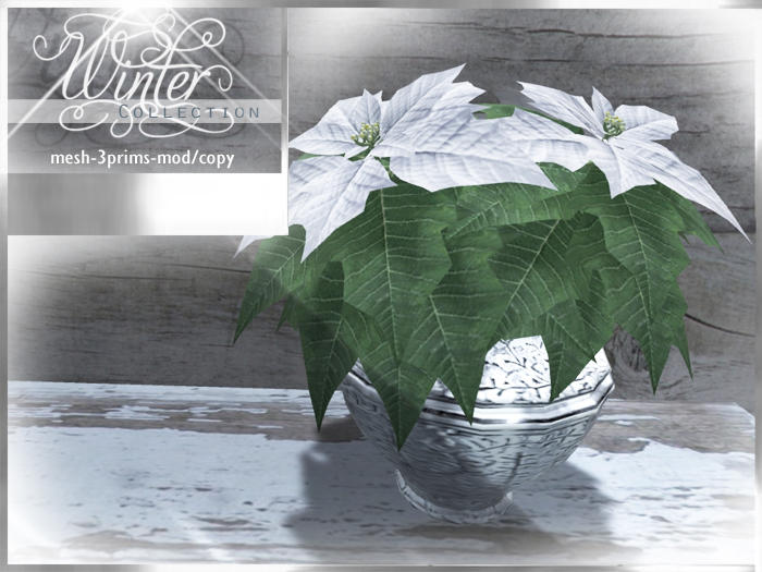 Winter Collection Poinsettia Potted Plant (mod/copy)