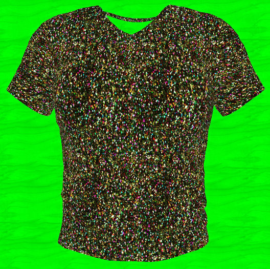 Glittered  T-Shirt (Mesh)