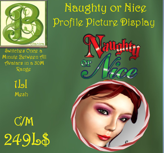 Naught or Nice Profile Picture Display, LI