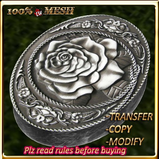 LW_ Silver Buckle 1