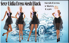 LSR - Sexy Lidia Dress Mesh Black
