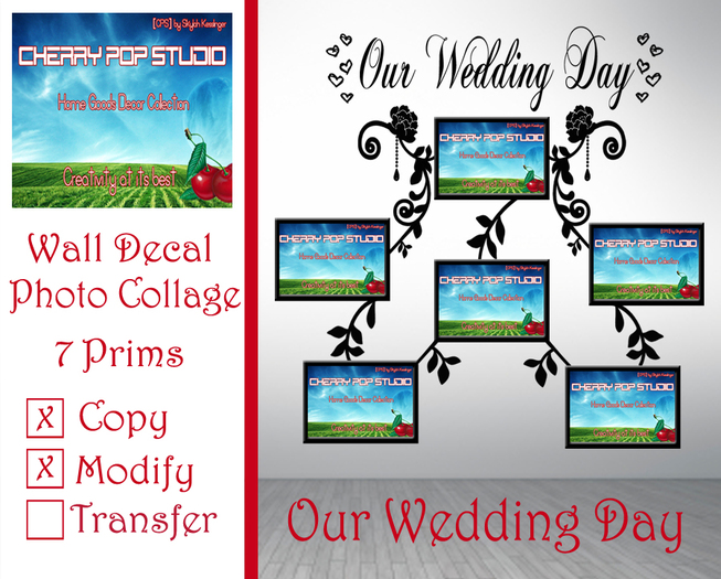 [CPS] Our Wedding Day Photo Collage BOXED