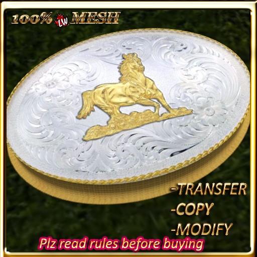 LW_ Silver Buckle 14