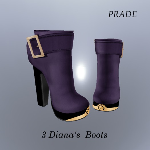 3 Diana's  Boots Box 1