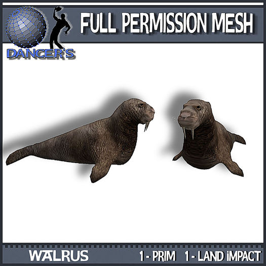 MESH WALRUS- boxed
