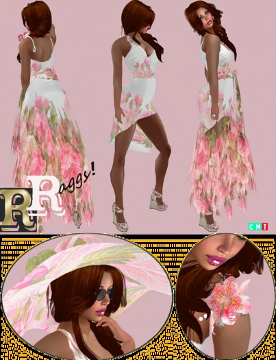 rose dreams !!