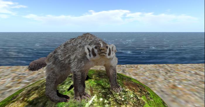 Badger # 701