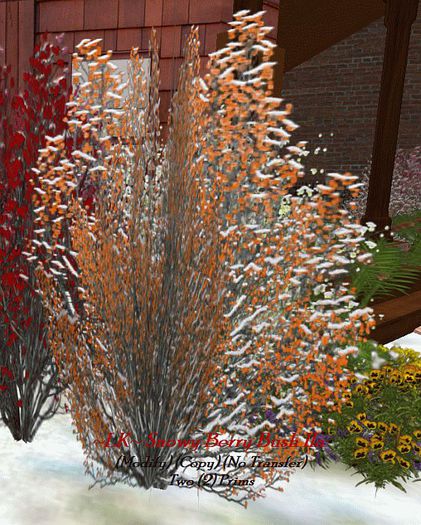 ~LK~ Snowy Berry Bush IIa (boxed)