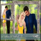 {Ms. B. Designs} Picture Perfect 2