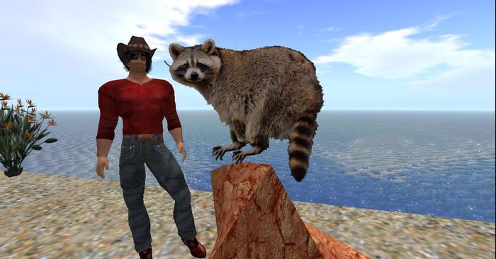 Racoon on a rock - particle rez - one prim / copy