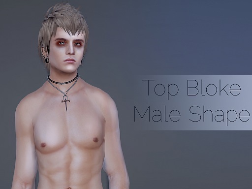 Top Bloke: Male Shape