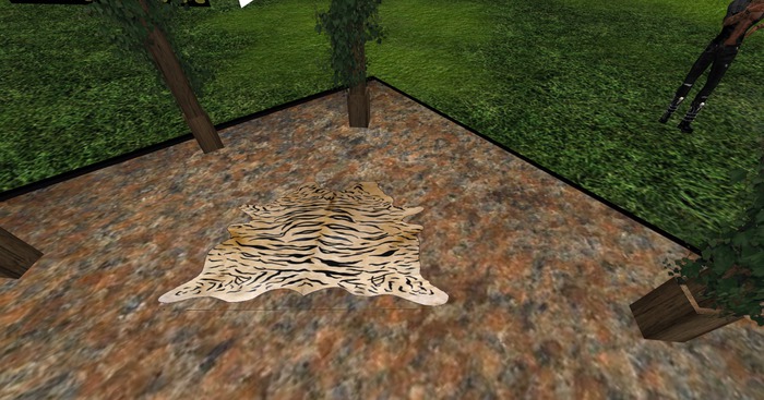 Tiger skin rug