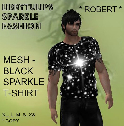 * Robert * Black Sparkle T-Shirt - Mesh (box)