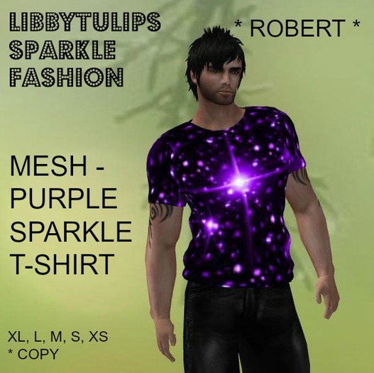 * Robert * Purple Sparkle T-Shirt - Mesh (box)