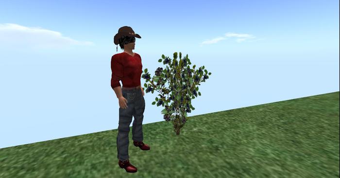 Wild Huckleberry Bush -  moves with wind - two prim / copy / modify