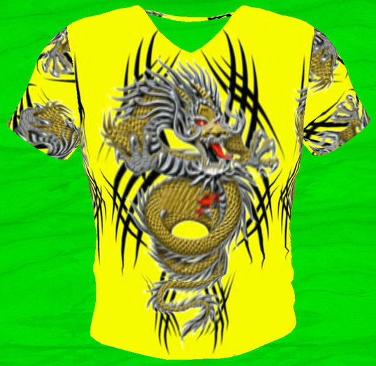 Chinese Dragon T-Shirt (Mesh)